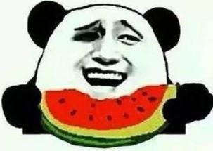 吃瓜群众青你2新瓜,吃瓜群众揭秘选手幕后故事