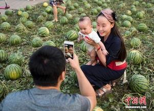 吃瓜群众岱岱阿里,揭秘网络红人的崛起之路