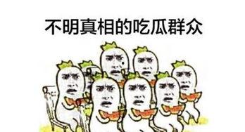 老司机车上的吃瓜群众,揭秘旅途中的欢乐时光