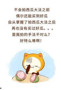 吃瓜群众畅所欲言下一句,揭秘娱乐圈幕后真相
