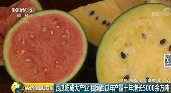 吃瓜群众的大漂亮,吃瓜群众眼中的娱乐圈风云