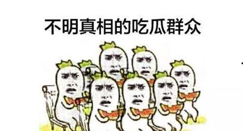 吃瓜群众投资多少钱一个,吃瓜群众投入多少，瓜市风云再起