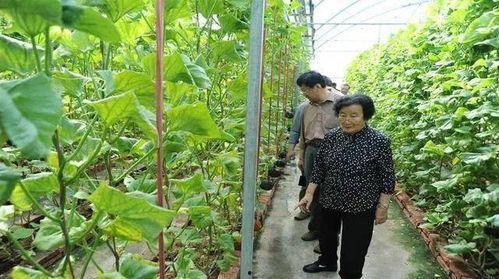 缅甸清水河吃瓜群众是谁,他们是谁？为何引发关注？