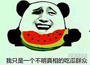 9527吃瓜群众,揭秘娱乐圈幕后风云