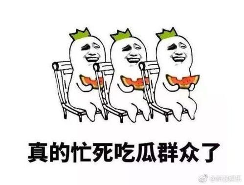 吃瓜群众爆火怎么办,揭秘网络舆论的狂欢与反思
