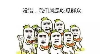 吃瓜群众的正确吃瓜方式,如何正确享受瓜界盛宴