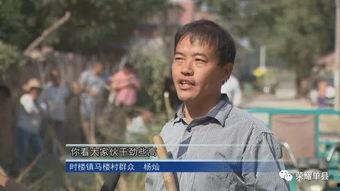 吃瓜群众杨小姐视频大全,揭秘娱乐圈幕后故事