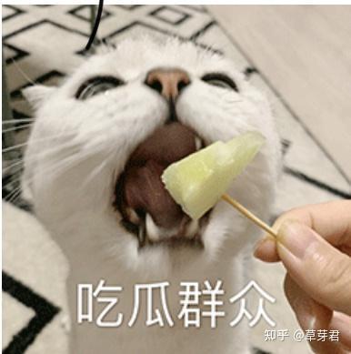 吃瓜群众怎么评论才好,揭秘网络评论背后的趣味与真相