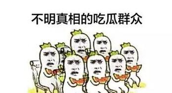 买不起瓜的吃瓜群众,揭秘瓜界众生相