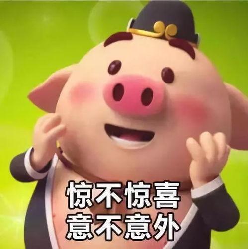 猪猪小悠吃瓜群众