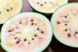 吃瓜群众吃了不该吃的瓜,揭秘吃瓜群众不该吃的瓜